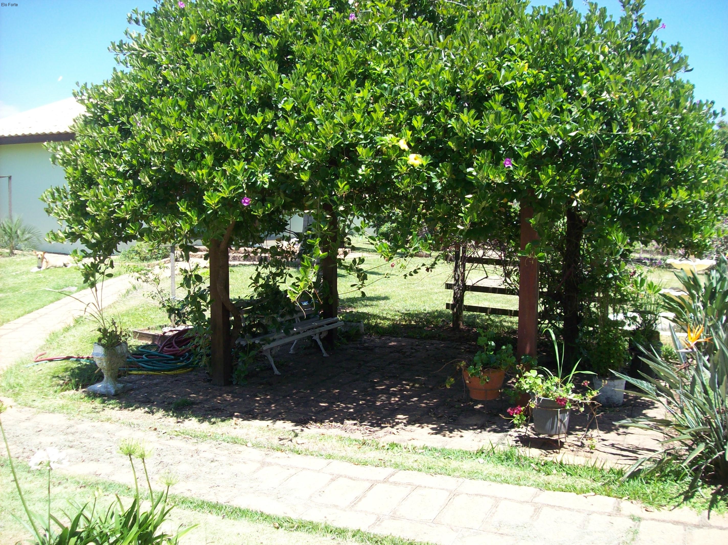 CHÁCARA em JARDIM DOS LARANJAIS, INDAIATUBA - chácara para venda, jardim dos laranjais, indaiatuba - Foto 1