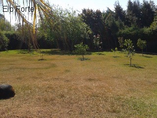 CHÁCARA em COLINAS DO MOSTEIRO DE ITAICI, INDAIATUBA - chácara para venda, colinas do mosteiro de itaici, indaiatuba - Foto 17