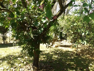 CHÁCARA em COLINAS DO MOSTEIRO DE ITAICI, INDAIATUBA - chácara para venda, colinas do mosteiro de itaici, indaiatuba - Foto 28