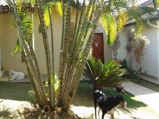 CHÁCARA em COLINAS DO MOSTEIRO DE ITAICI, INDAIATUBA - chácara para venda, colinas do mosteiro de itaici, indaiatuba - Foto 18
