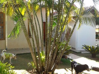 CHÁCARA em COLINAS DO MOSTEIRO DE ITAICI, INDAIATUBA - chácara para venda, colinas do mosteiro de itaici, indaiatuba - Foto 8