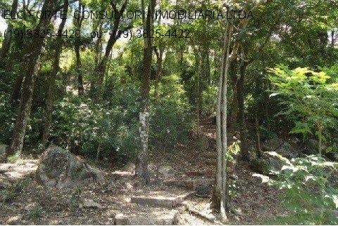 SÍTIO em COND RIO NEGRO, INDAIATUBA - Foto 3