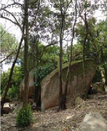 SÍTIO em COND RIO NEGRO, INDAIATUBA - Foto 33