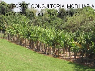 SÍTIO em DIVISA INDAIATUBA x MONTE MOR, INDAIATUBA - sitio a venda, indaiatuba - Foto 27