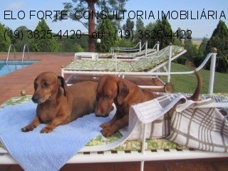 SÍTIO em DIVISA INDAIATUBA x MONTE MOR, INDAIATUBA - sitio a venda, indaiatuba - Foto 12