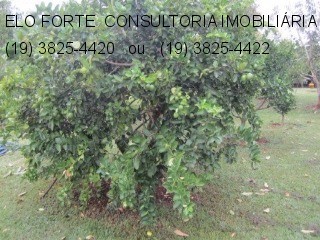 SÍTIO em DIVISA INDAIATUBA x MONTE MOR, INDAIATUBA - sitio a venda, indaiatuba - Foto 34