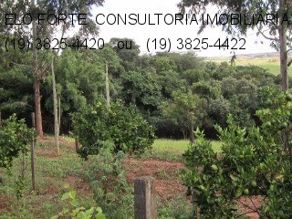 SÍTIO em DIVISA INDAIATUBA x MONTE MOR, INDAIATUBA - sitio a venda, indaiatuba - Foto 25