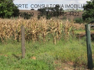 SÍTIO em DIVISA INDAIATUBA x MONTE MOR, INDAIATUBA - sitio a venda, indaiatuba - Foto 36