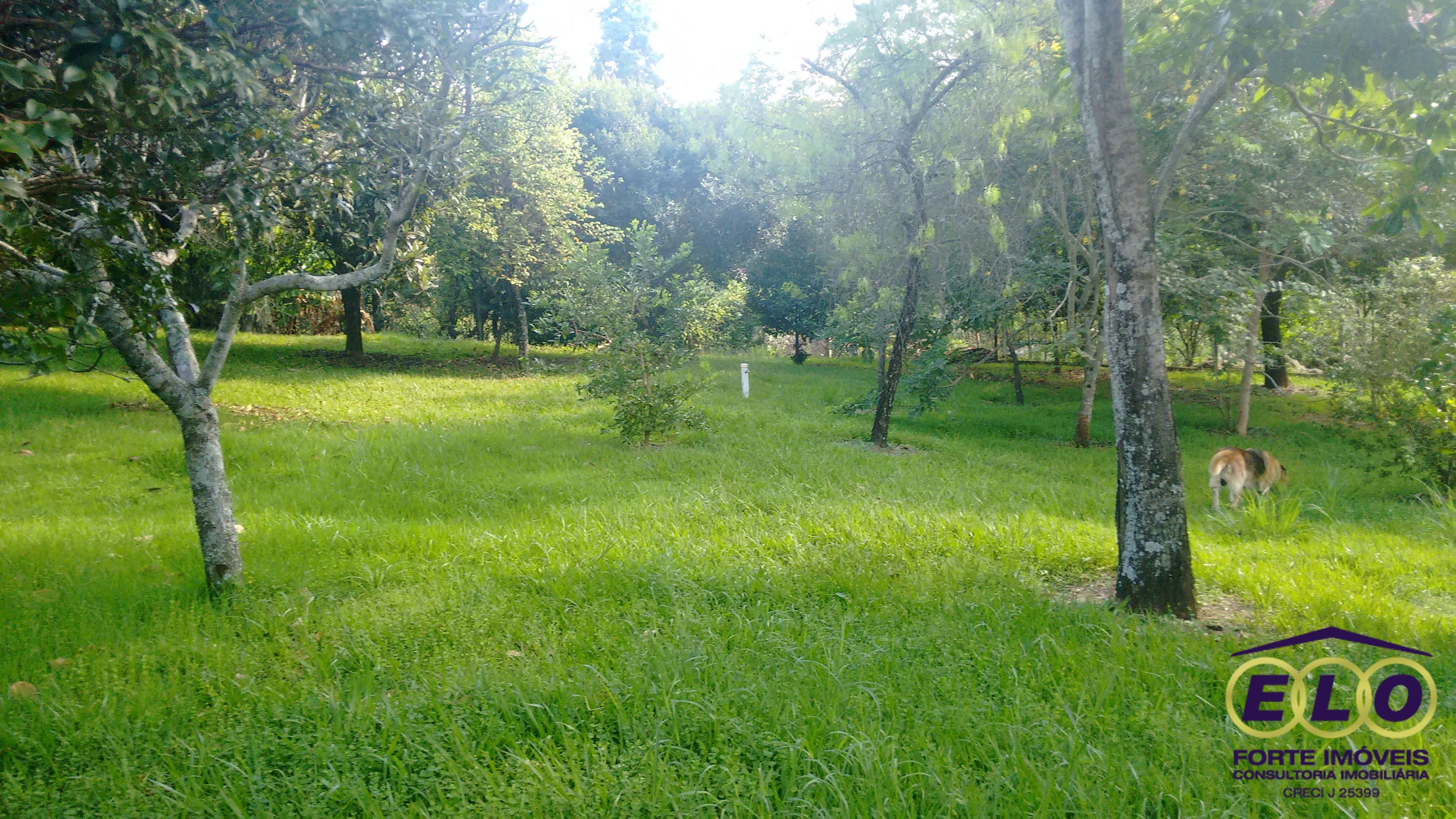 CASA em RECANTO DAS FLORES, INDAIATUBA - chácara a venda, recanto das flores, indaiatuba - Foto 20