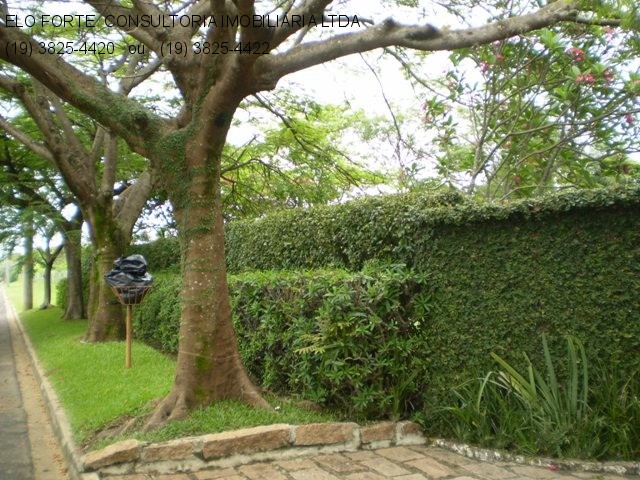 CHÁCARA em RECANTO DAS FLORES, INDAIATUBA - chácara para venda, recanto das flores, indaiatuba - Foto 8