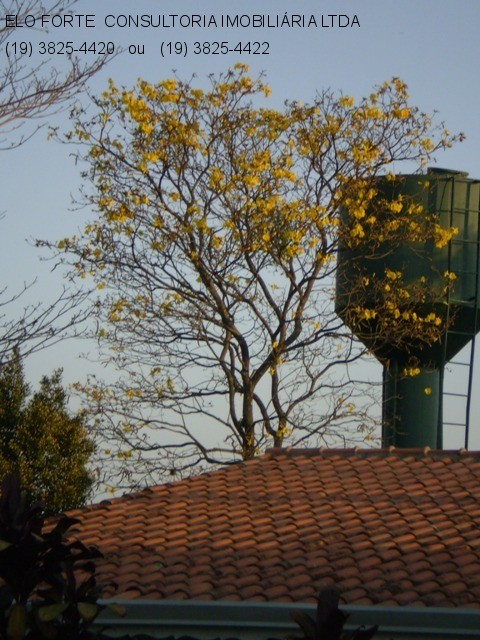 CHÁCARA em RECANTO DAS FLORES, INDAIATUBA - chácara para venda, recanto das flores, indaiatuba - Foto 24