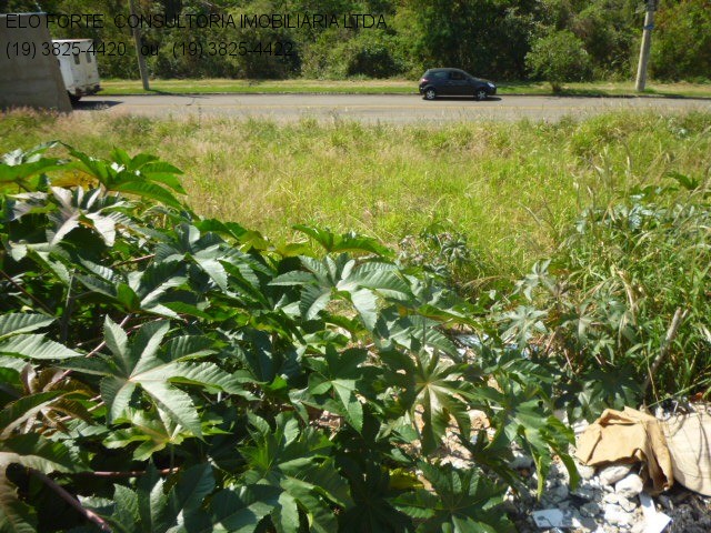 TERRENO em Jardim Bela Vista, Indaiatuba - TERRENO - Indaiatuba - Foto 4