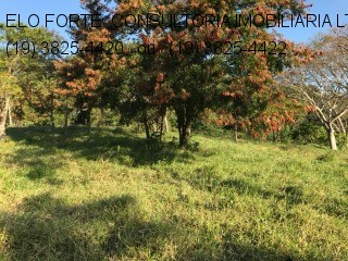 SÍTIO em COLINAS DO MOSTEIRO DE ITAICI, INDAIATUBA - SÍTIO - INDAIATUBA - Foto 4