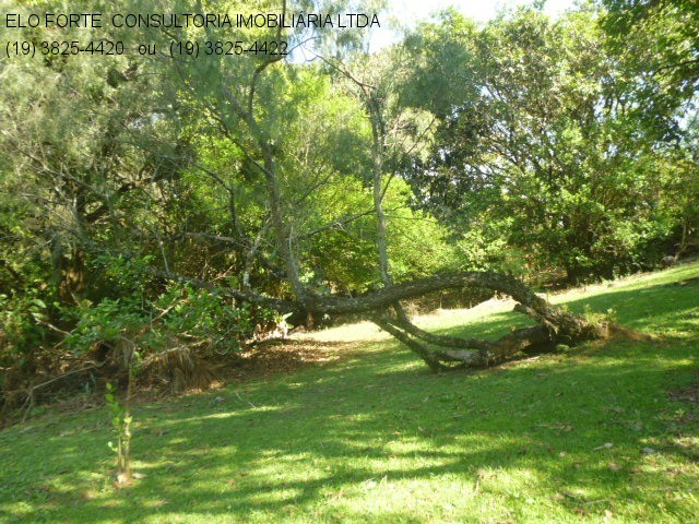 CHÁCARA em RECANTO DOS PÁSSAROS, INDAIATUBA - Foto 3
