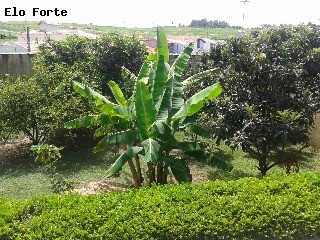 CHÁCARA em Colinas II, Indaiatuba - chácara para venda, colinas II, indaiatuba - Foto 18