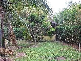 CHÁCARA em Itaici (Videiras), Indaiatuba - chácara para venda, videiras, indaiatuba - Foto 14