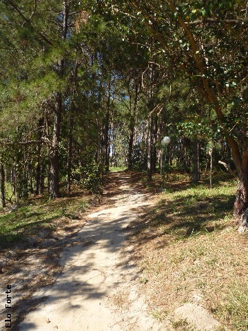 CASA em JARDIM RESERVA BOM VIVER DE INDAIATUBA, INDAIATUBA - casa a venda , terra magna , indaiatuba - Foto 35