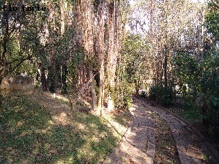 CHÁCARA em Jardim Panorama, Indaiatuba - chácara para venda, jardim panorama, indaiatuba - Foto 14