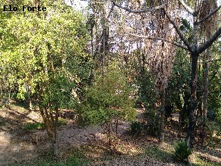 CHÁCARA em Jardim Panorama, Indaiatuba - chácara para venda, jardim panorama, indaiatuba - Foto 38