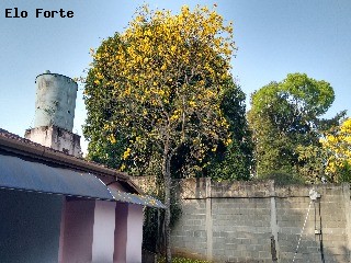 CHÁCARA em Jardim Panorama, Indaiatuba - chácara para venda, jardim panorama, indaiatuba - Foto 17