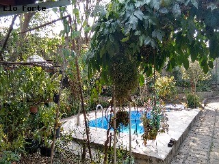 CHÁCARA em Jardim Panorama, Indaiatuba - chácara para venda, jardim panorama, indaiatuba - Foto 47