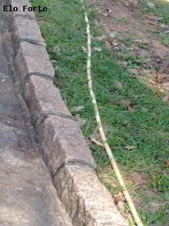 CHÁCARA em Jardim Panorama, Indaiatuba - chácara para venda, jardim panorama, indaiatuba - Foto 37