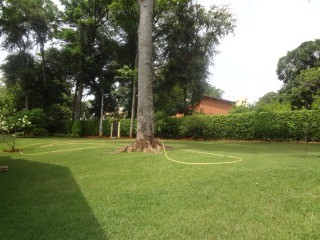 CASA em HELVETIA COUNTRY, INDAIATUBA - casa a venda, residencial helvetia country, indaiatuba - Foto 11