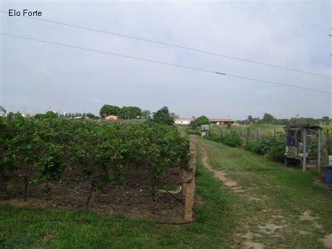 TERRENO em VIDEIRA, INDAIATUBA - area para venda, videira, indaiatuba - Foto 16