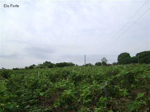 TERRENO em VIDEIRA, INDAIATUBA - area para venda, videira, indaiatuba - Foto 11