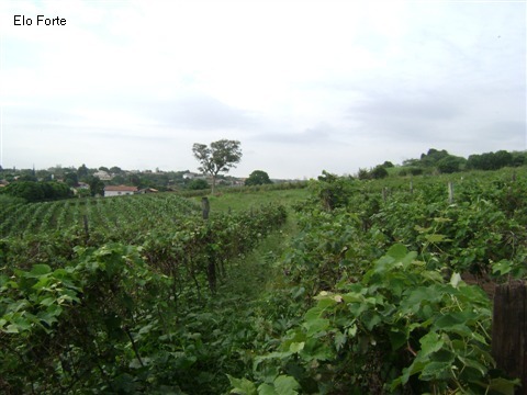 TERRENO em VIDEIRA, INDAIATUBA - area para venda, videira, indaiatuba - Foto 7