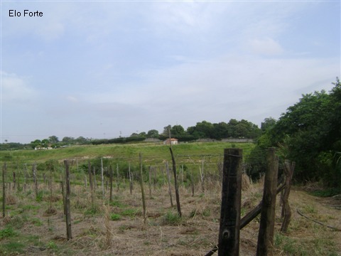 TERRENO em VIDEIRA, INDAIATUBA - area para venda, videira, indaiatuba - Foto 3