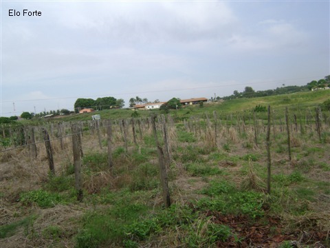 TERRENO em VIDEIRA, INDAIATUBA - area para venda, videira, indaiatuba - Foto 12