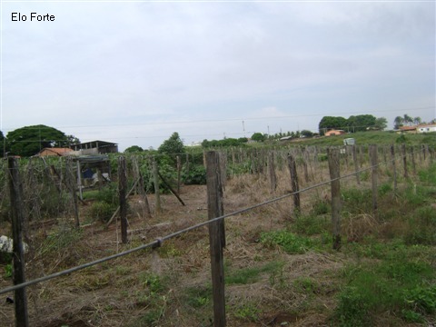TERRENO em VIDEIRA, INDAIATUBA - area para venda, videira, indaiatuba - Foto 10