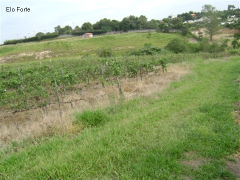 TERRENO em VIDEIRA, INDAIATUBA - area para venda, videira, indaiatuba - Foto 5