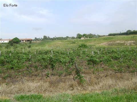 TERRENO em VIDEIRA, INDAIATUBA - area para venda, videira, indaiatuba - Foto 13