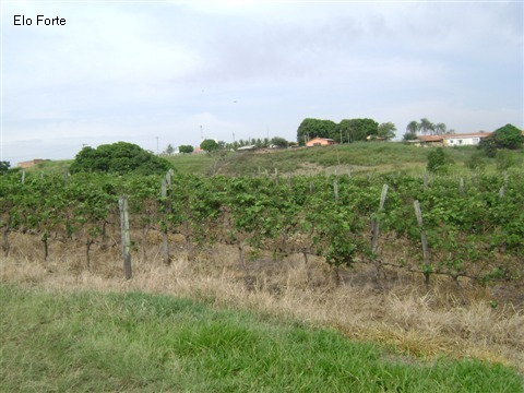 TERRENO em VIDEIRA, INDAIATUBA - area para venda, videira, indaiatuba - Foto 14