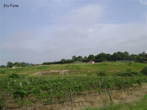 TERRENO em VIDEIRA, INDAIATUBA - area para venda, videira, indaiatuba - Foto 8