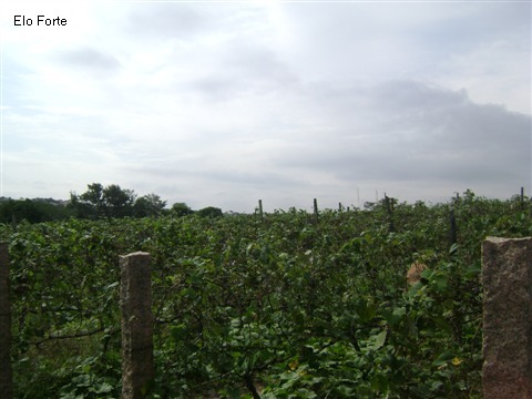 TERRENO em VIDEIRA, INDAIATUBA - area para venda, videira, indaiatuba - Foto 15