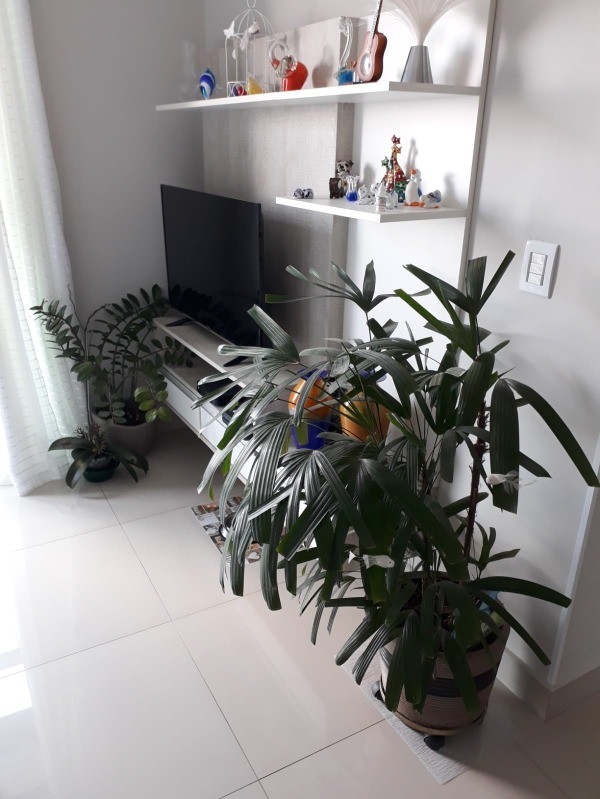 APARTAMENTO em Vila Brizzola, Indaiatuba - Apartamento à venda | Condomíno Villagio D'Amore, Indaiatuba/SP - Foto 14