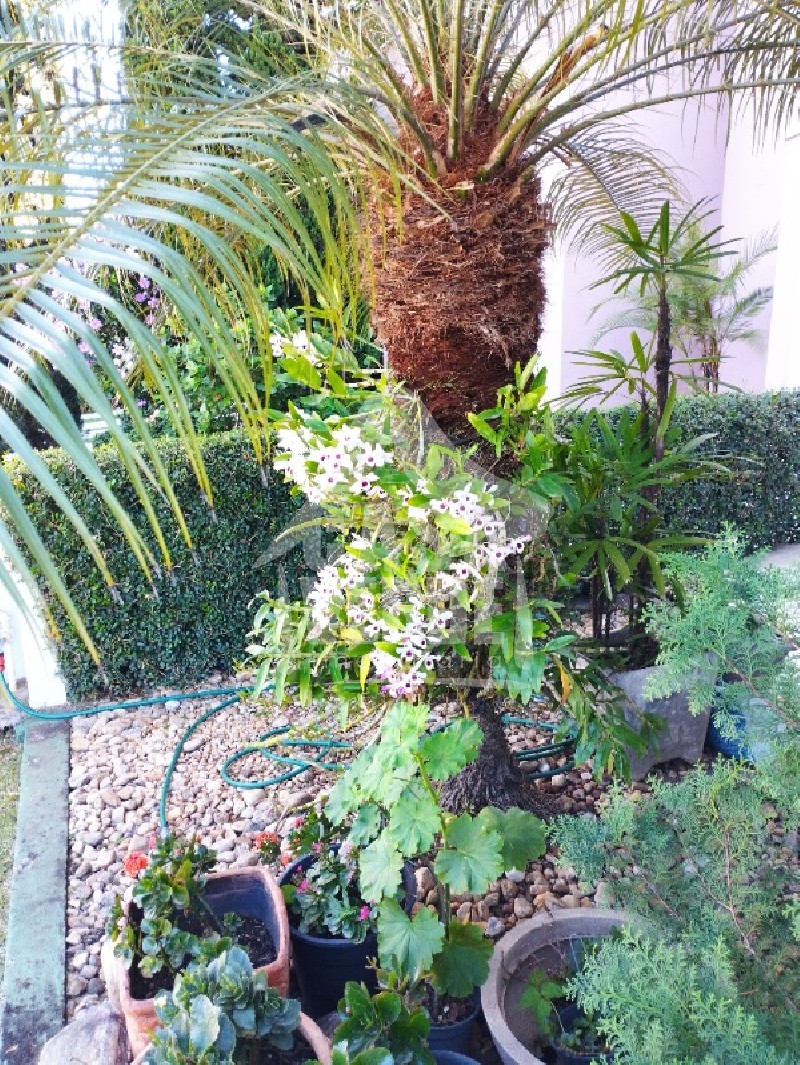 CASA em JARDIM ESPLENDOR, INDAIATUBA - Sobrado à venda - Condomínio Jardim Esplendor  - Indaiatuba/SP - Foto 8
