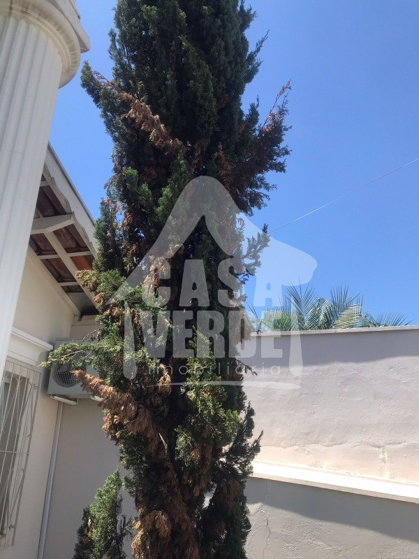CASA em VILA ALMEIDA, INDAIATUBA - Casa à venda - Bairro Vila Almeida em Indaiatuba/SP - Foto 14