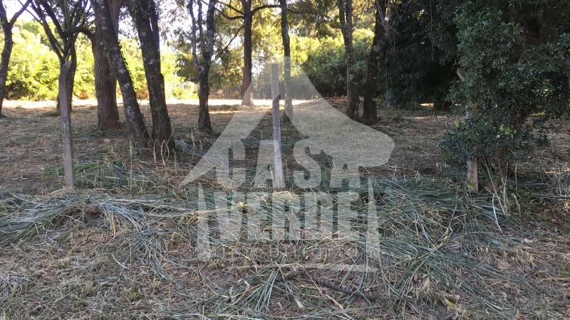 TERRENO em COLINAS DO MOSTEIRO DE ITAICI, INDAIATUBA - Foto 4