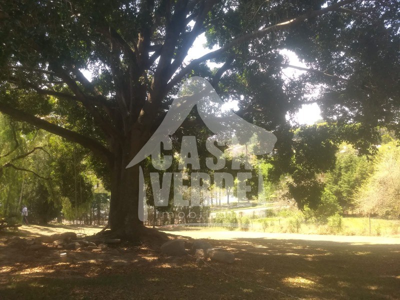 TERRENO em COLINAS DO MOSTEIRO DE ITAICI, INDAIATUBA - Foto 4