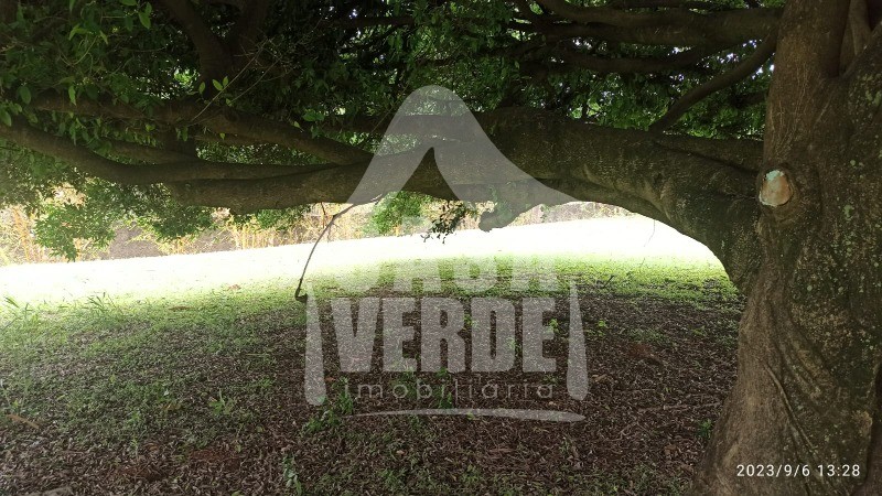 TERRENO em JARDIM FIGUEIRA, INDAIATUBA - Foto 7