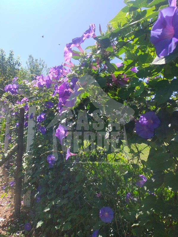 CHÁCARA em TERRAS DE ITAICI, INDAIATUBA - Foto 54