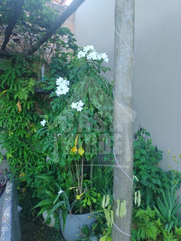CHÁCARA em TERRAS DE ITAICI, INDAIATUBA - Foto 4
