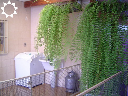Casa, 3 quartos, 345 m² - Foto 1