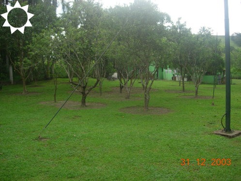 Sítio, 3 quartos, 450 m² - Foto 25
