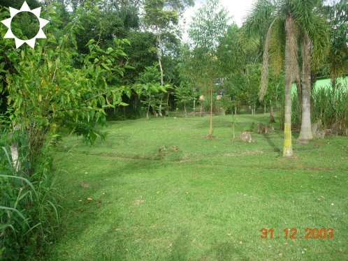 Sítio, 3 quartos, 450 m² - Foto 28