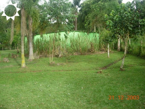 Sítio, 3 quartos, 450 m² - Foto 29